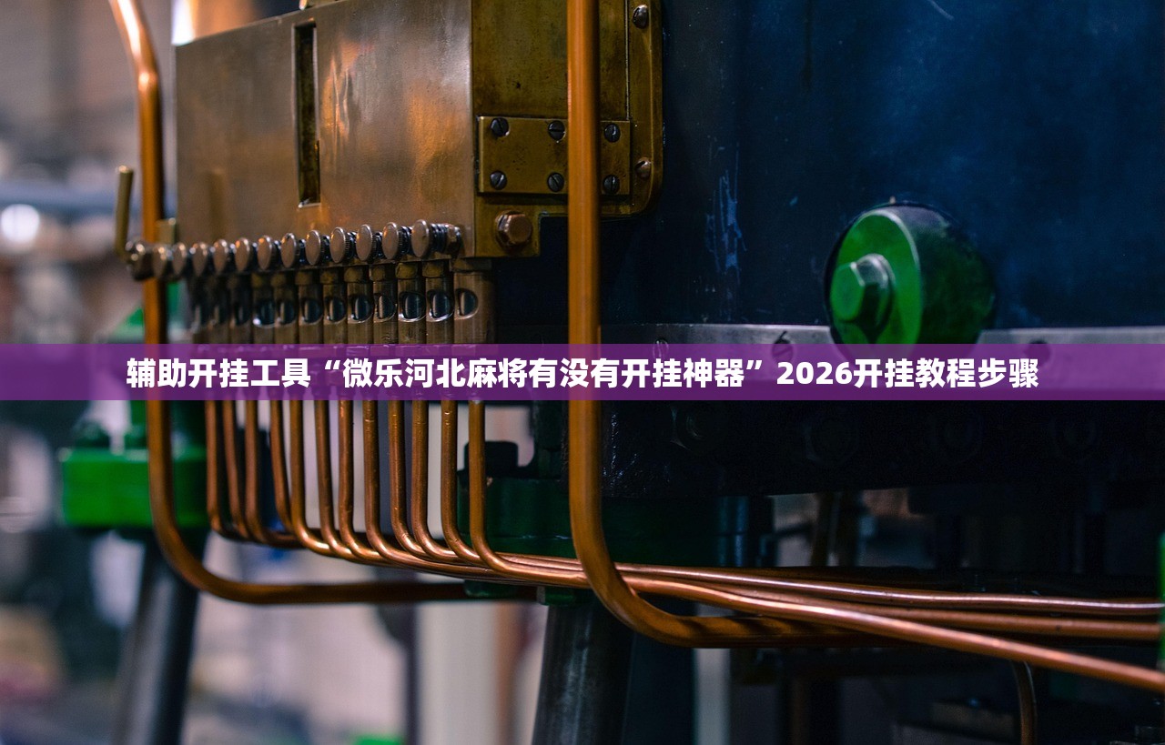 辅助开挂工具“微乐河北麻将有没有开挂神器”2026开挂教程步骤