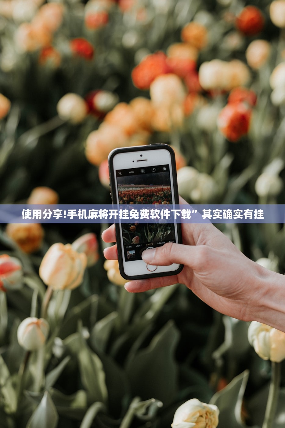 使用分享!手机麻将开挂免费软件下载”其实确实有挂