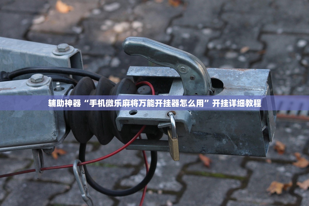 辅助神器“手机微乐麻将万能开挂器怎么用	”开挂详细教程
