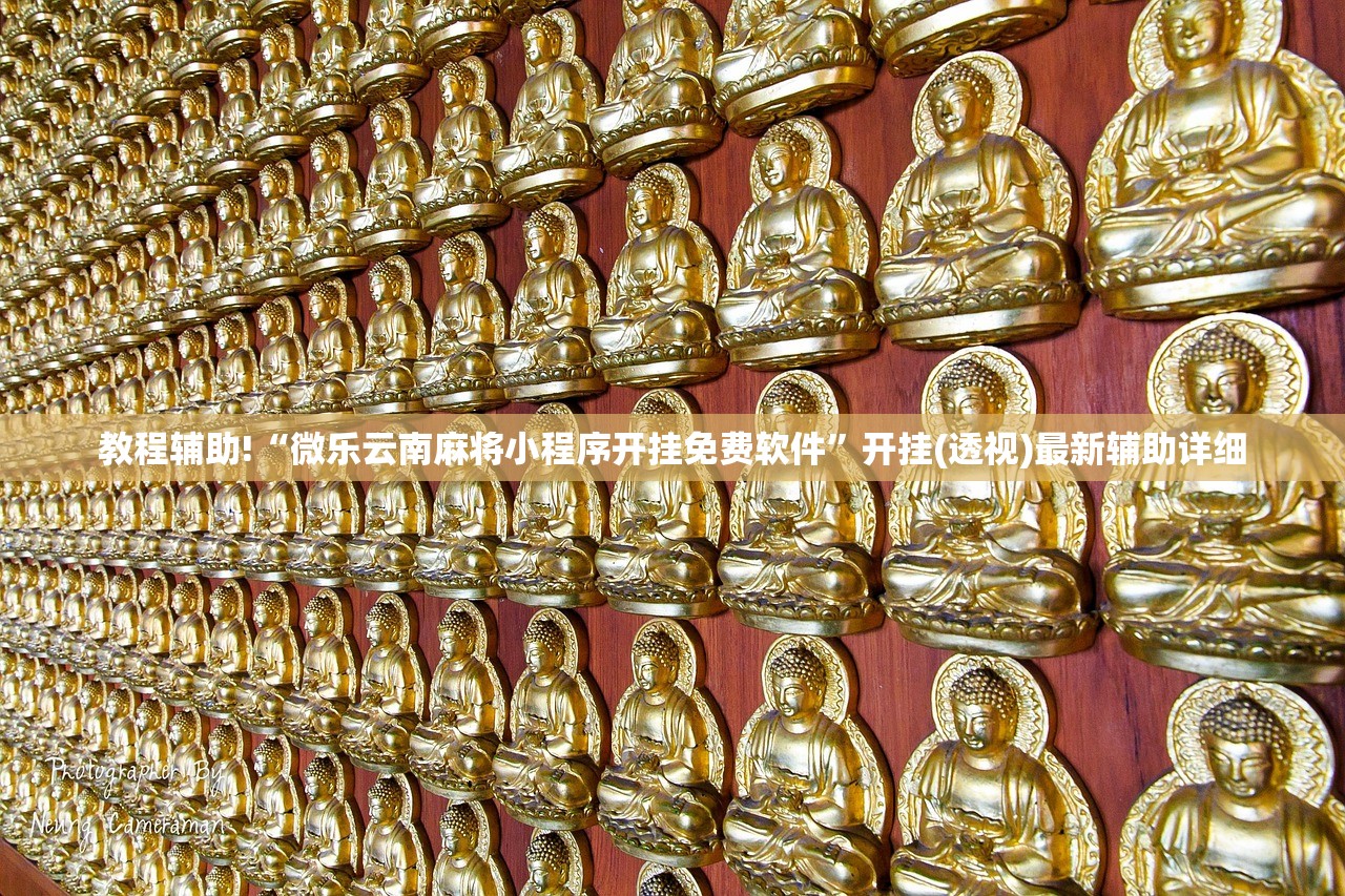教程辅助!“微乐云南麻将小程序开挂免费软件”开挂(透视)最新辅助详细