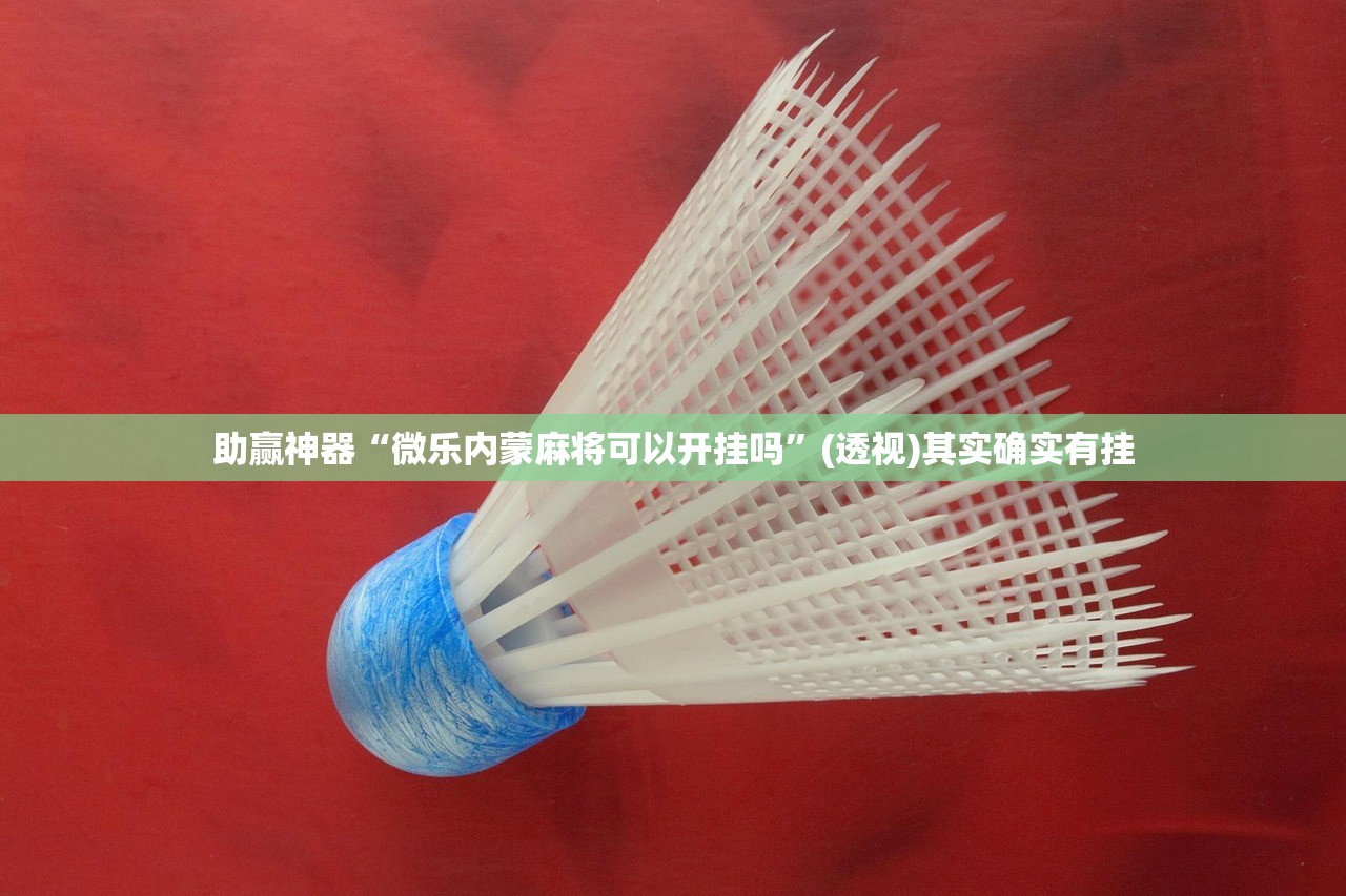 助赢神器“微乐内蒙麻将可以开挂吗”(透视)其实确实有挂