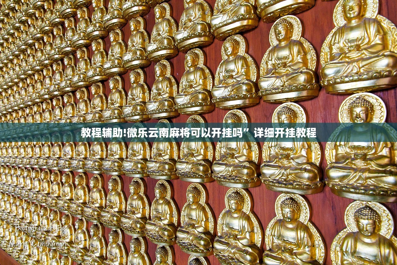 教程辅助!微乐云南麻将可以开挂吗”详细开挂教程