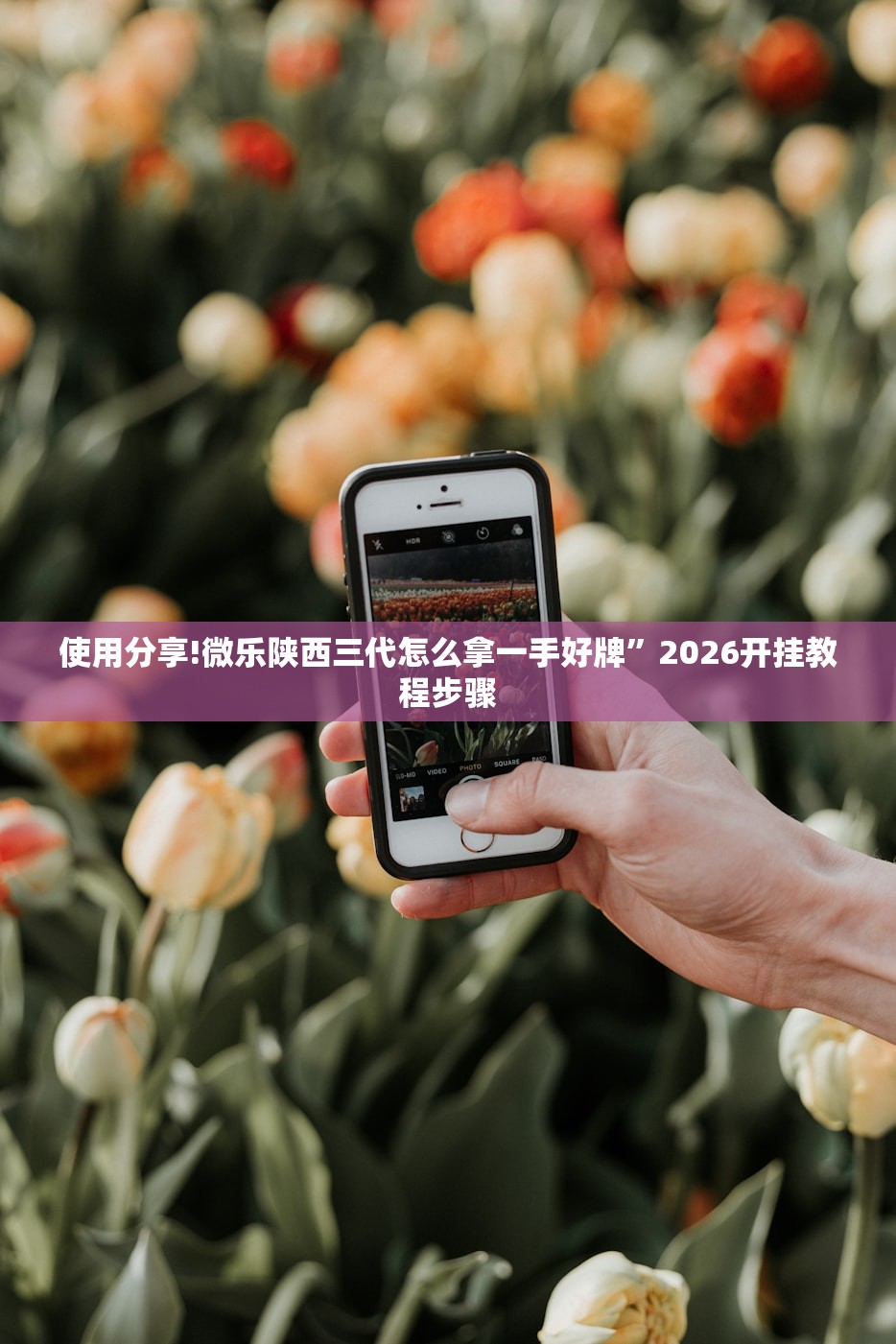使用分享!微乐陕西三代怎么拿一手好牌”2026开挂教程步骤