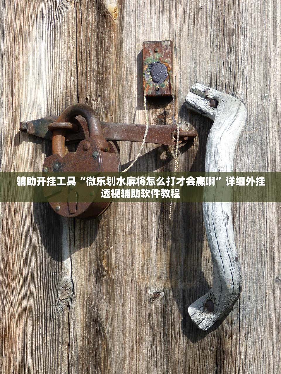 辅助开挂工具“微乐划水麻将怎么打才会赢啊	”详细外挂透视辅助软件教程
