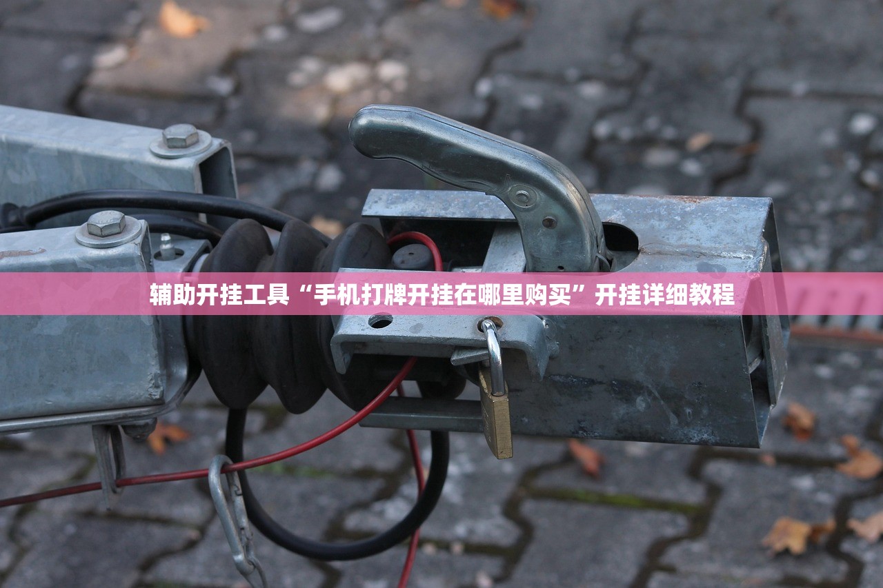 辅助开挂工具“手机打牌开挂在哪里购买”开挂详细教程