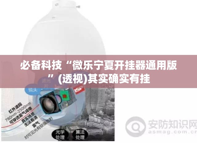 必备科技“微乐宁夏开挂器通用版”(透视)其实确实有挂