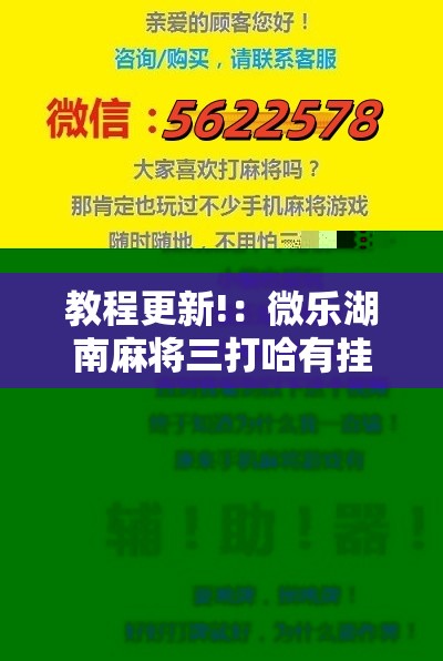 教程更新!：微乐湖南麻将三打哈有挂吗”2026开挂教程步骤