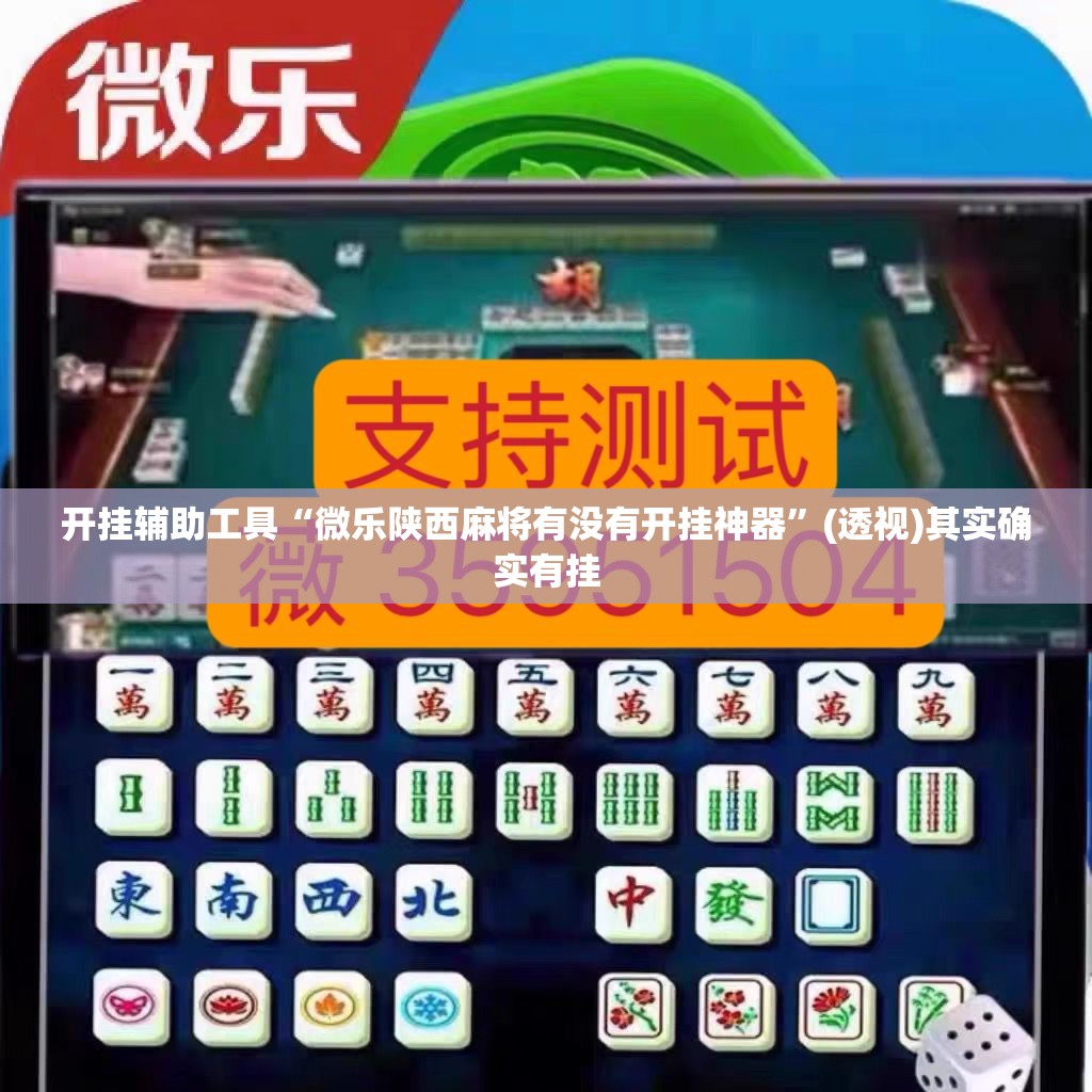 开挂辅助工具“微乐陕西麻将有没有开挂神器”(透视)其实确实有挂