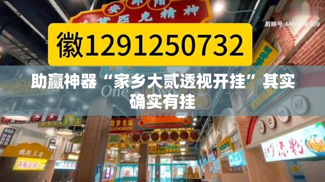 助赢神器“家乡大贰透视开挂	”其实确实有挂