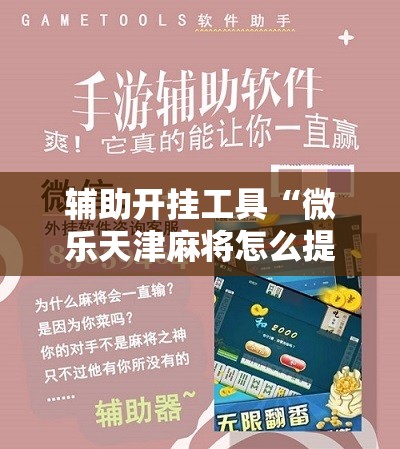 辅助开挂工具“微乐天津麻将怎么提高胜率”2026开挂教程步骤