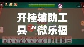 开挂辅助工具“微乐福建麻将万能开挂器”详细外挂透视辅助软件教程