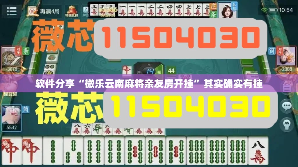 软件分享“微乐云南麻将亲友房开挂”其实确实有挂