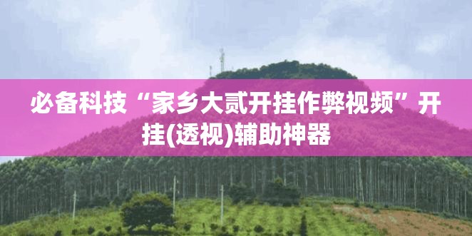 必备科技“家乡大贰开挂作弊视频”开挂(透视)辅助神器