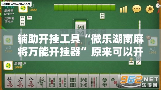 辅助开挂工具“微乐湖南麻将万能开挂器”原来可以开挂