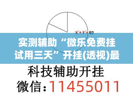实测辅助“微乐免费挂试用三天”开挂(透视)最新辅助详细