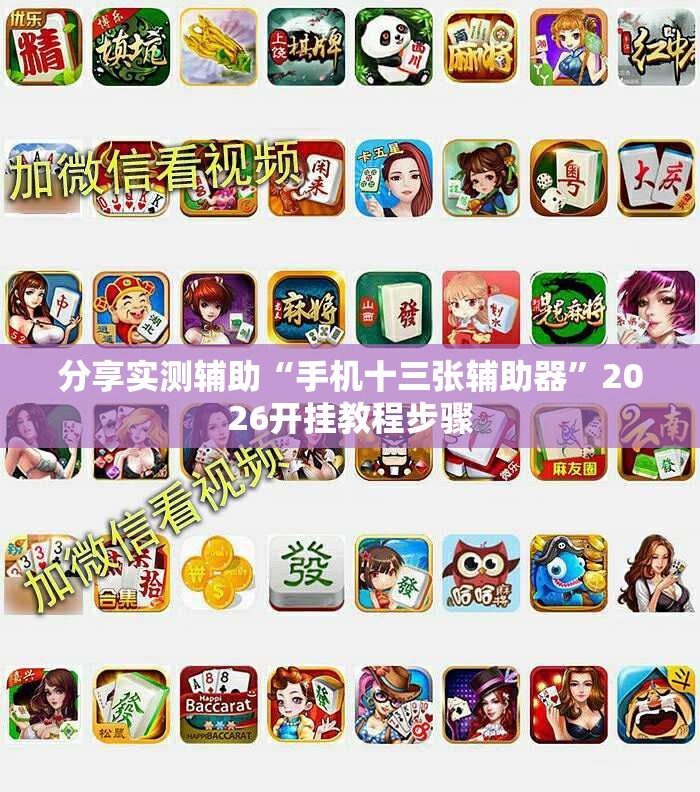 分享实测辅助“手机十三张辅助器	”2026开挂教程步骤