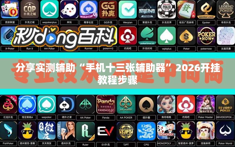 分享实测辅助“手机十三张辅助器”2026开挂教程步骤