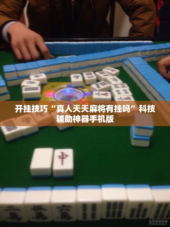 开挂技巧“真人天天麻将有挂吗	”科技辅助神器手机版