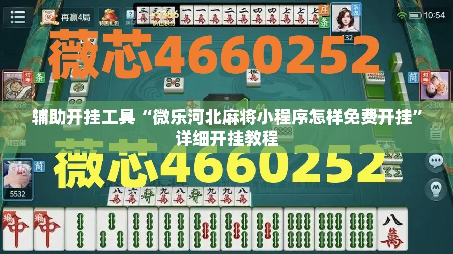 辅助开挂工具“微乐河北麻将小程序怎样免费开挂”详细开挂教程