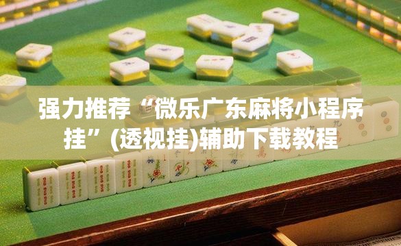 强力推荐“微乐广东麻将小程序挂”(透视挂)辅助下载教程