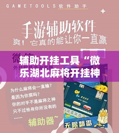 辅助开挂工具“微乐湖北麻将开挂神器”开挂辅助脚本+详细开挂安装教程