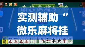 实测辅助“微乐麻将挂先试用后付款”开挂(透视)辅助神器