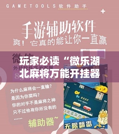 玩家必读“微乐湖北麻将万能开挂器	”详细分享装挂步骤