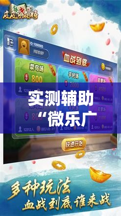 实测辅助“微乐广西麻将破解器	”科技辅助神器手机版