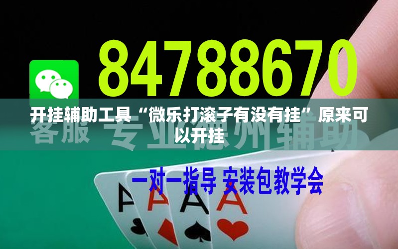 开挂辅助工具“微乐打滚子有没有挂”原来可以开挂