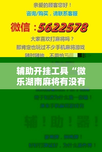 辅助开挂工具“微乐湖南麻将有没有开挂神器多少钱	”科技辅助神器手机版