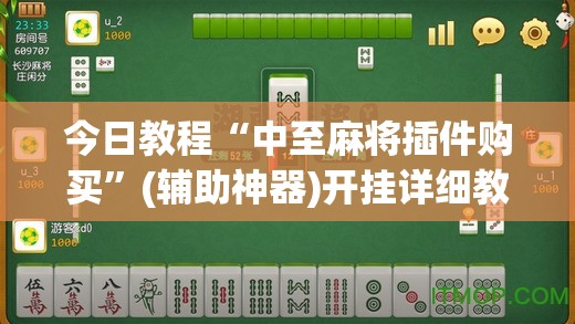 今日教程“中至麻将插件购买”(辅助神器)开挂详细教程
