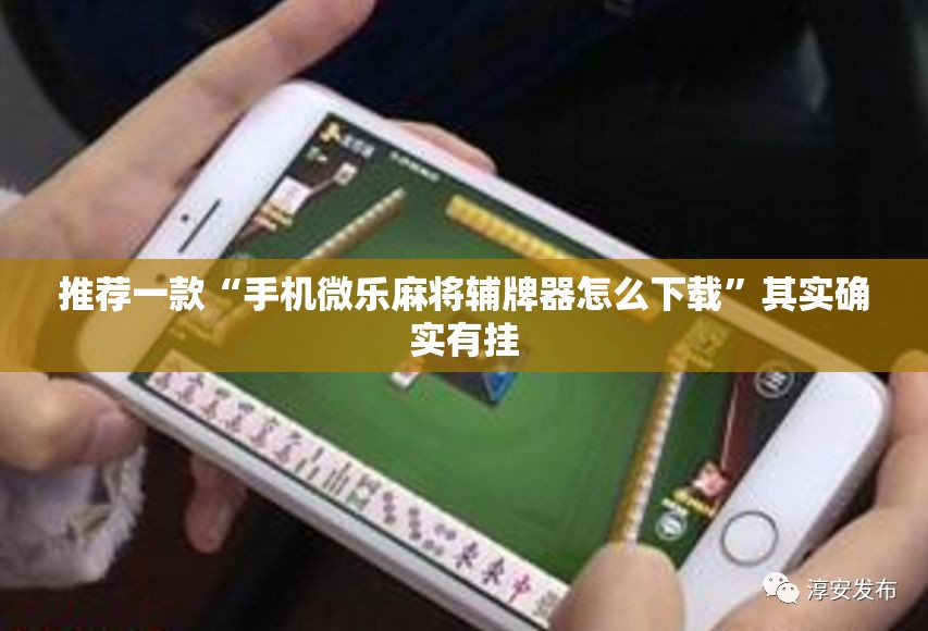 推荐一款“手机微乐麻将辅牌器怎么下载	”其实确实有挂