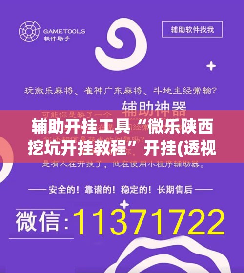 辅助开挂工具“微乐陕西挖坑开挂教程	”开挂(透视)辅助神器