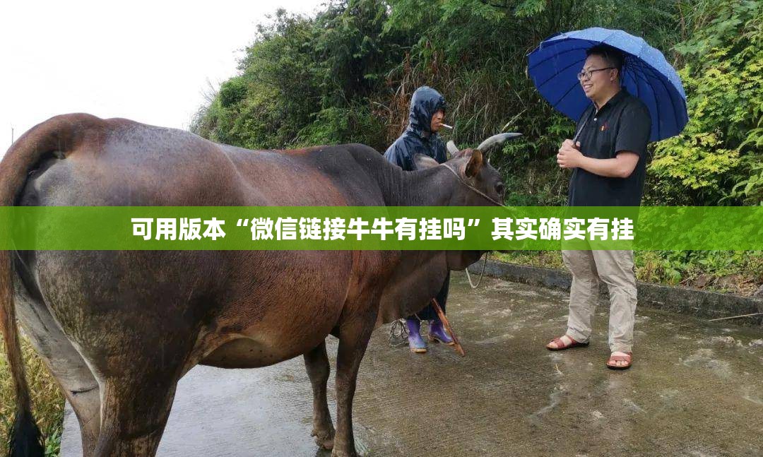 可用版本“微信链接牛牛有挂吗	”其实确实有挂