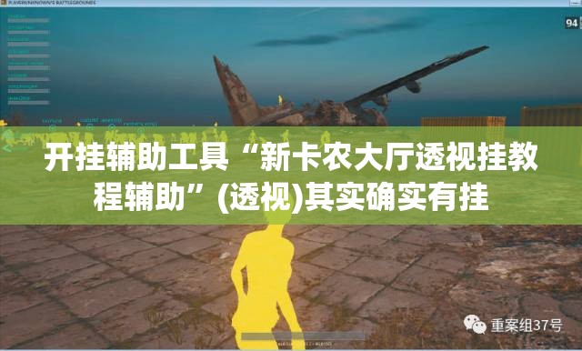 开挂辅助工具“新卡农大厅透视挂教程辅助	”(透视)其实确实有挂