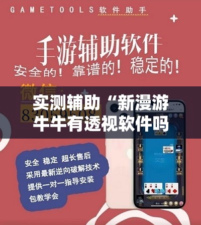 实测辅助“新漫游牛牛有透视软件吗”详细外挂透视辅助软件教程