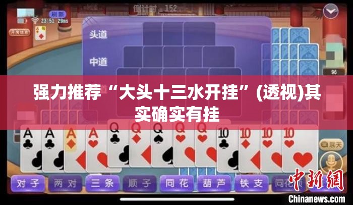 强力推荐“大头十三水开挂	”(透视)其实确实有挂