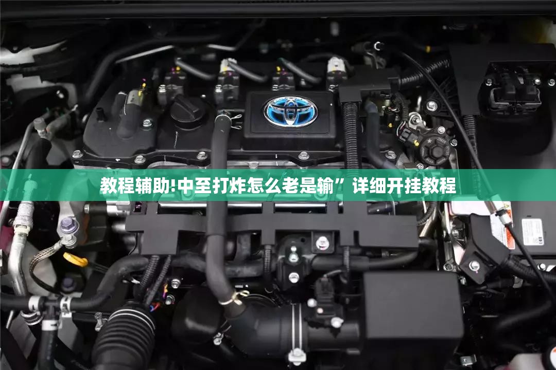 教程辅助!中至打炸怎么老是输”详细开挂教程