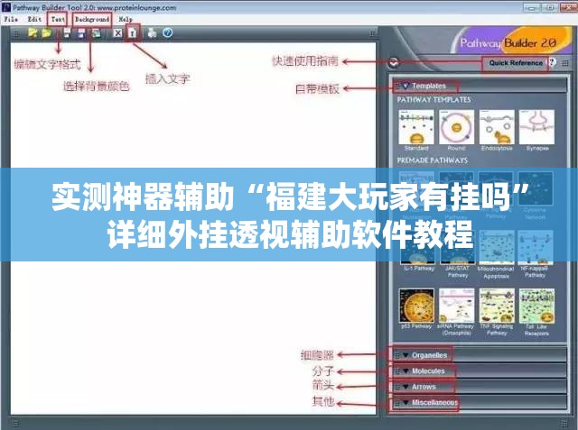 实测神器辅助“福建大玩家有挂吗”详细外挂透视辅助软件教程