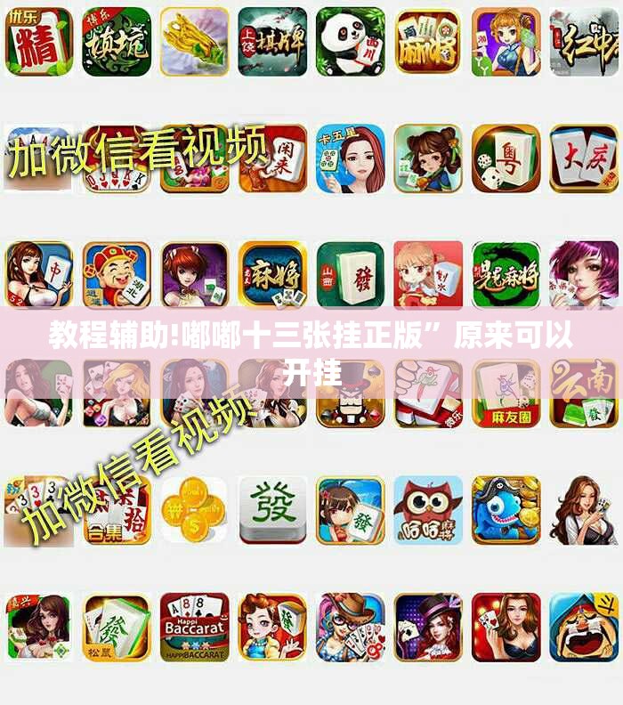 教程辅助!嘟嘟十三张挂正版”原来可以开挂