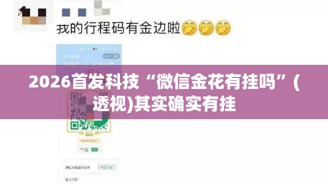 2026首发科技“微信金花有挂吗”(透视)其实确实有挂