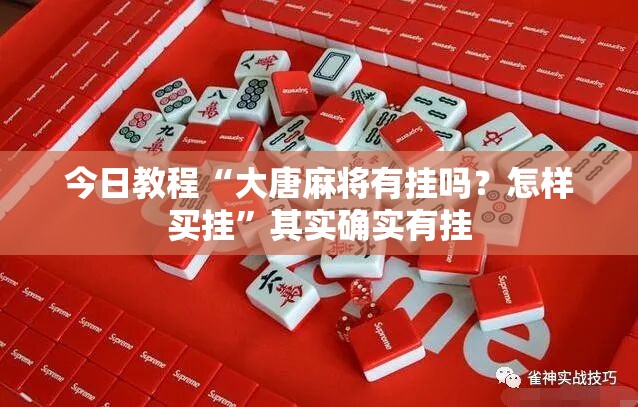 今日教程“大唐麻将有挂吗？怎样买挂	”其实确实有挂