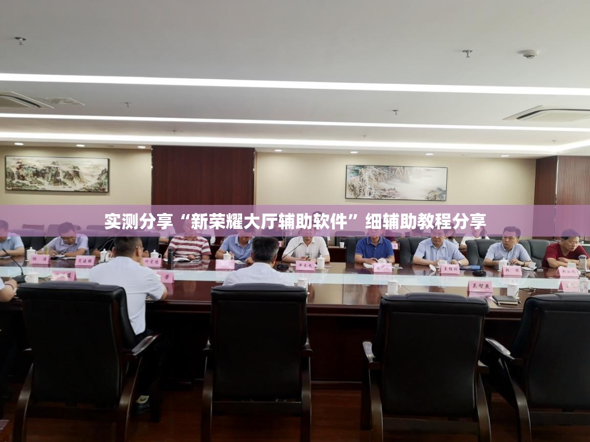 实测分享“新荣耀大厅辅助软件”细辅助教程分享