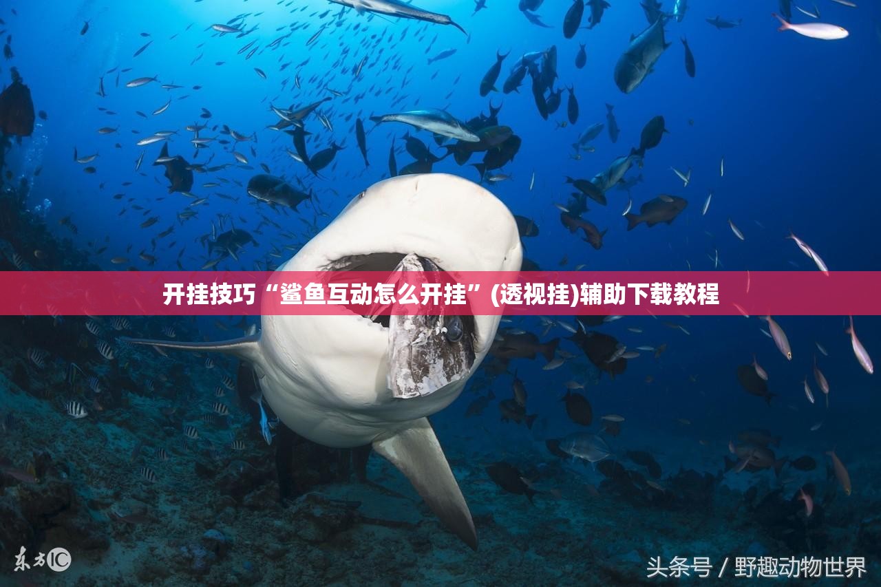 开挂技巧“鲨鱼互动怎么开挂”(透视挂)辅助下载教程