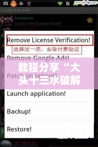 教程分享“大头十三水破解器”详细分享装挂步骤