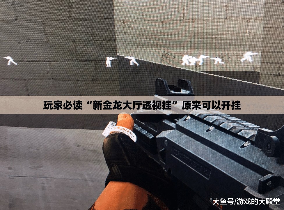 玩家必读“新金龙大厅透视挂”原来可以开挂