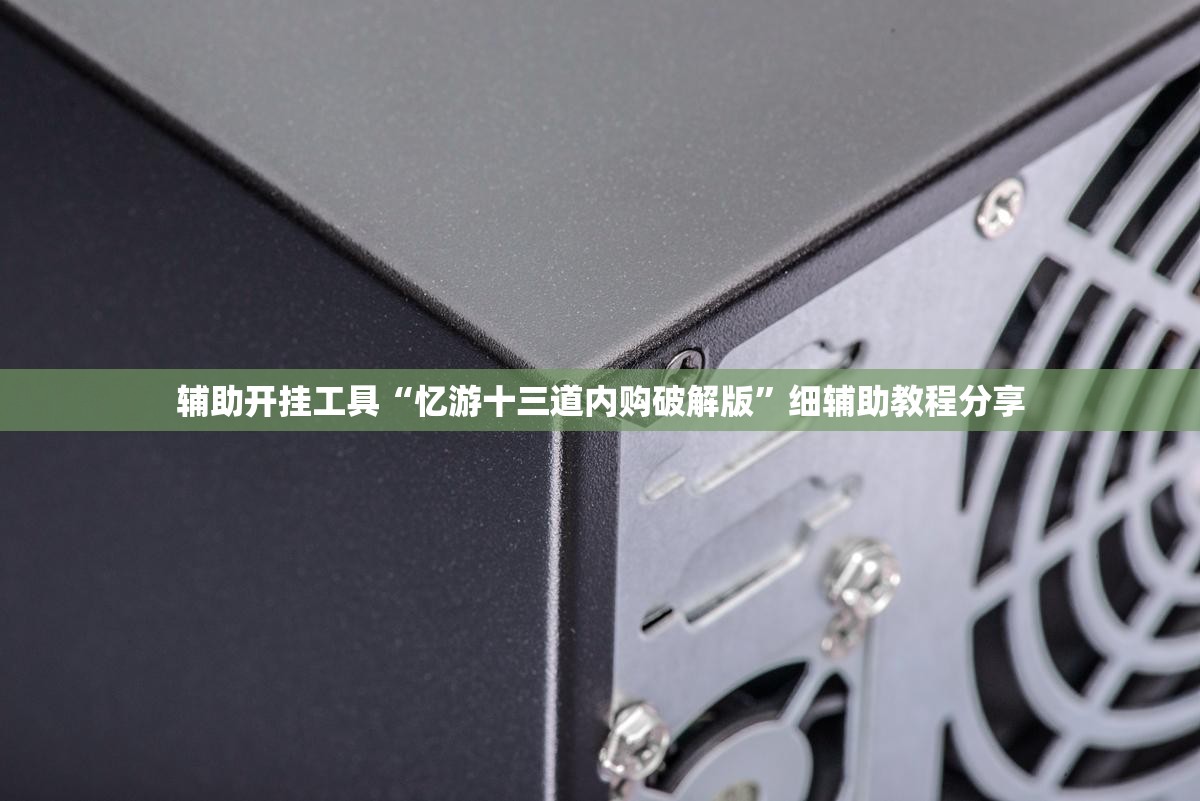 辅助开挂工具“忆游十三道内购破解版”细辅助教程分享