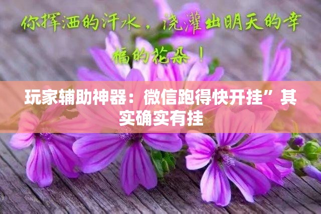 玩家辅助神器：微信跑得快开挂”其实确实有挂