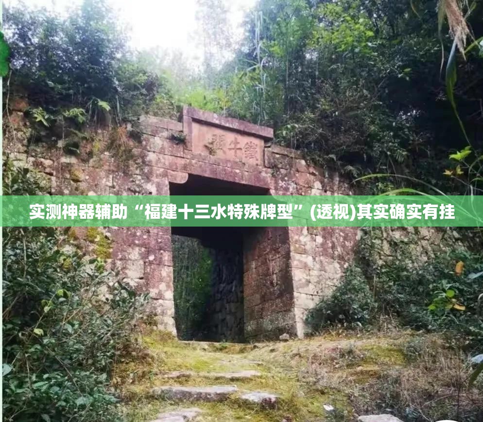 实测神器辅助“福建十三水特殊牌型”(透视)其实确实有挂