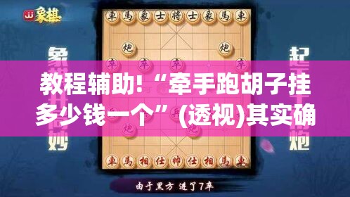 教程辅助!“牵手跑胡子挂多少钱一个”(透视)其实确实有挂